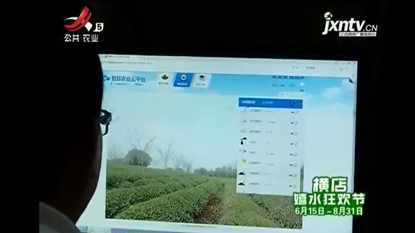 江西公共衛視播報修水果菜茶替代項目